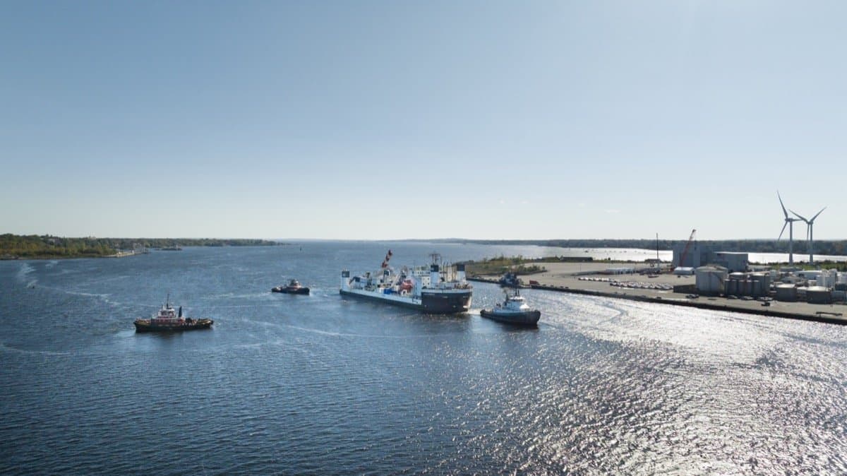 marine consulting