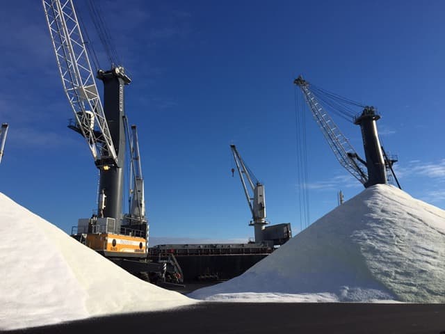 salt